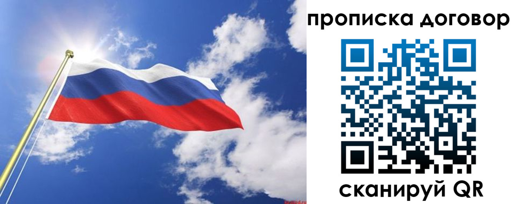 прописка гарантия в Ногинске